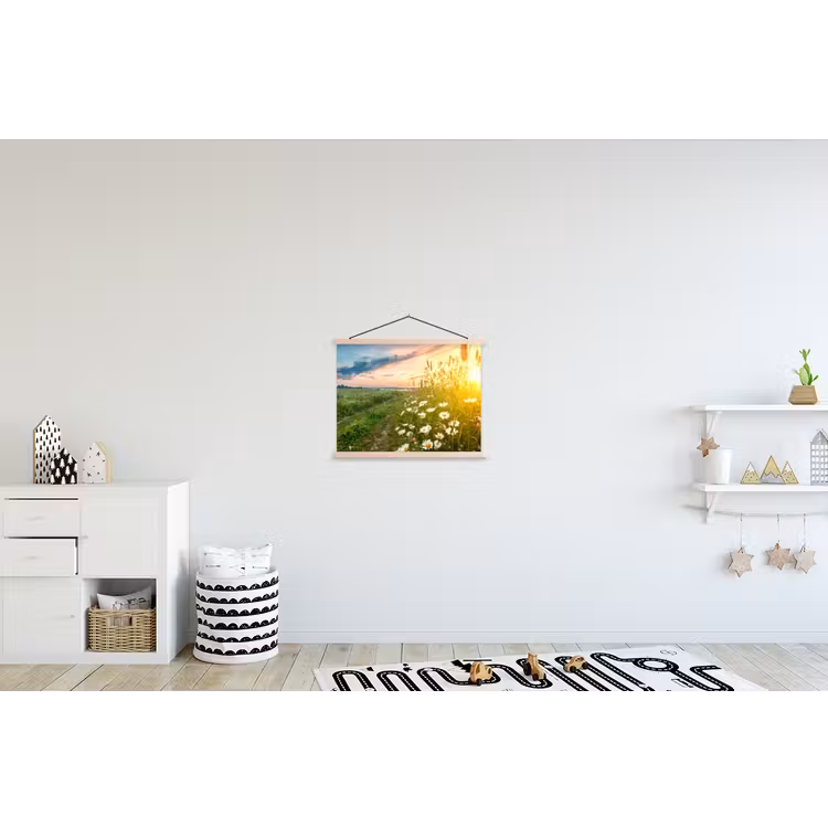 Schoolplaat - Bloemen - Madelief - Natuur - Zon - Horizon — 3