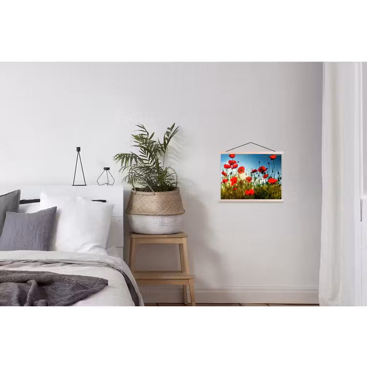Schoolplaat - Klaprozen - Toscane - Zon - Rood - Blauw — 2