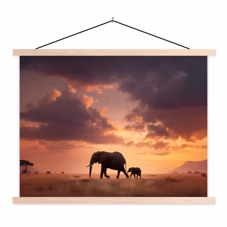 Schoolplaat - Olifanten - Grasland - Zonsondergang — 1