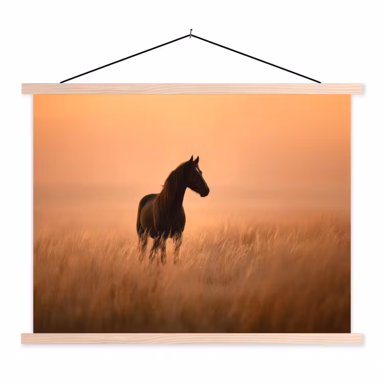 Schoolplaat - Paard - Grasveld - Zonsondergang — 1