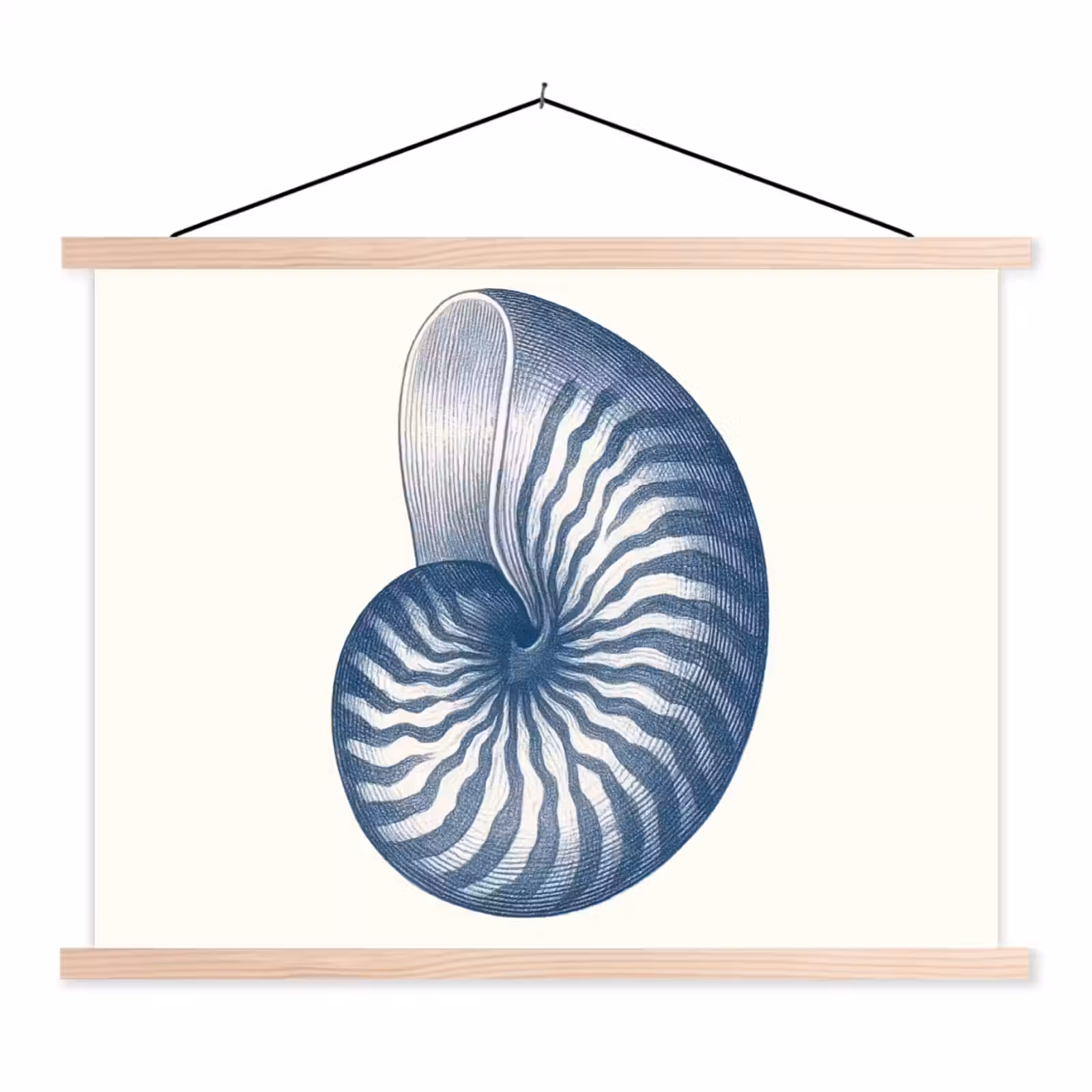Schoolplaat - Blauw - Schelp - Spiraal — 1