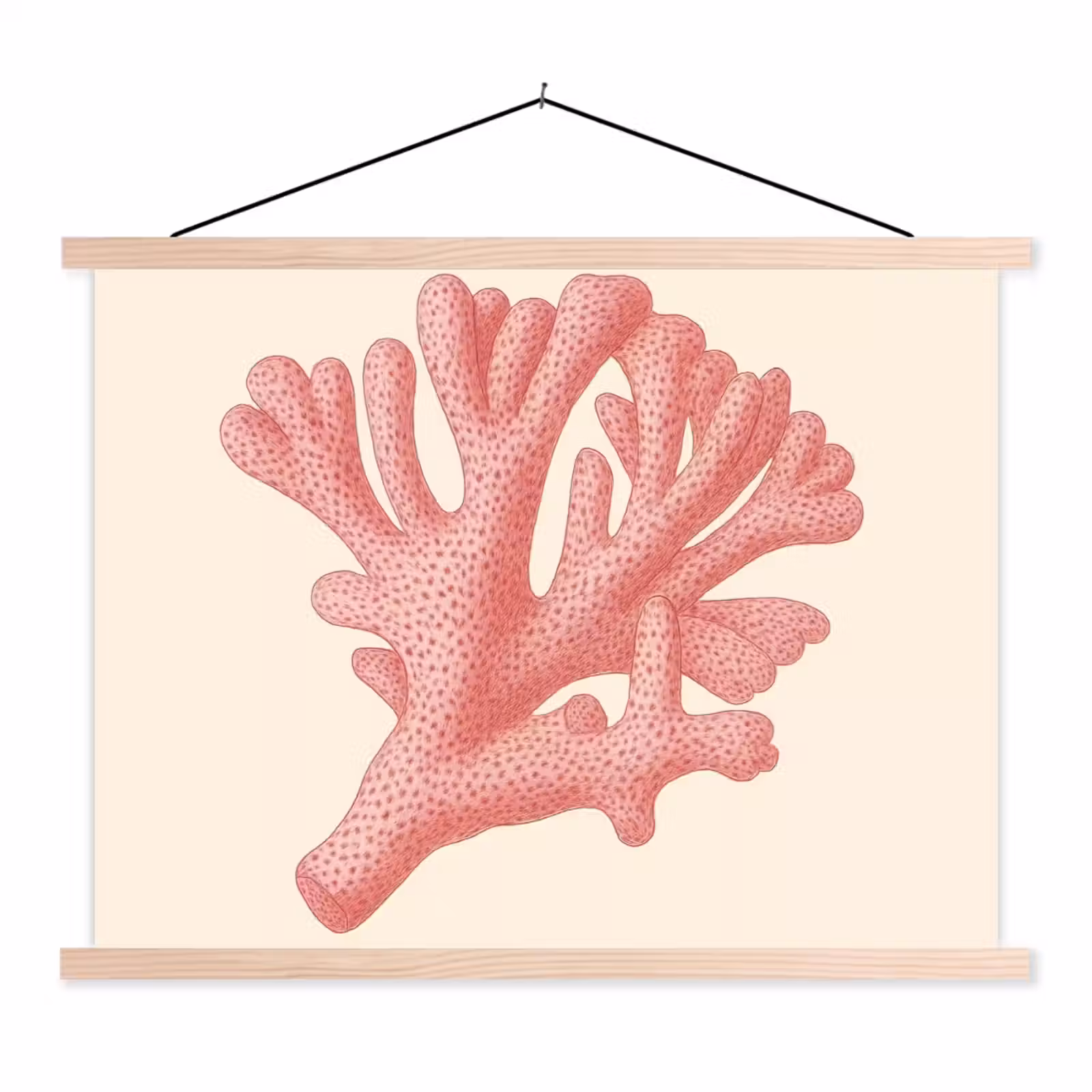 Schoolplaat - Koraal - Stipjes - Roze — 1