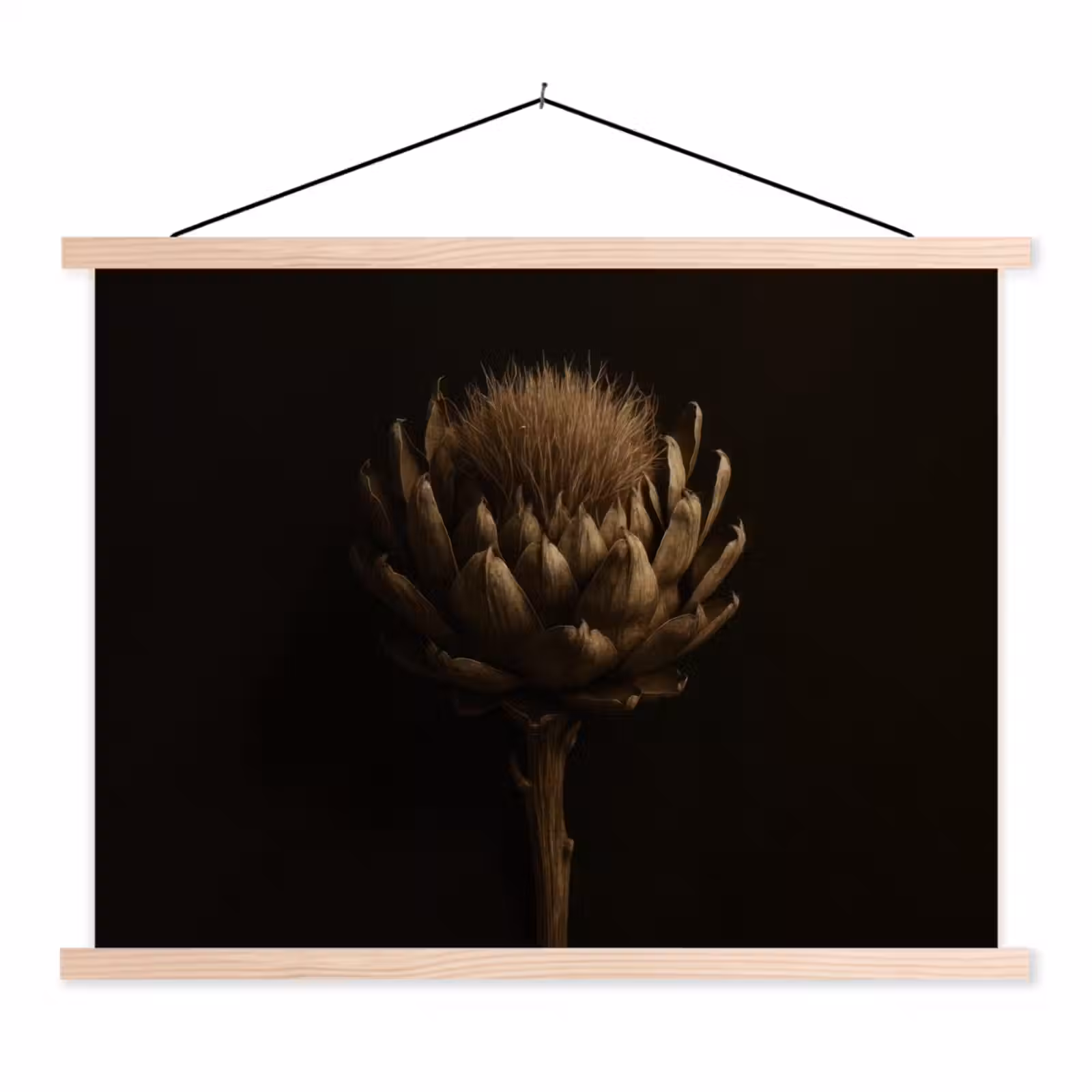 Schoolplaat - Donkerbruin - Bloem - Textuur - Artisjok — 1