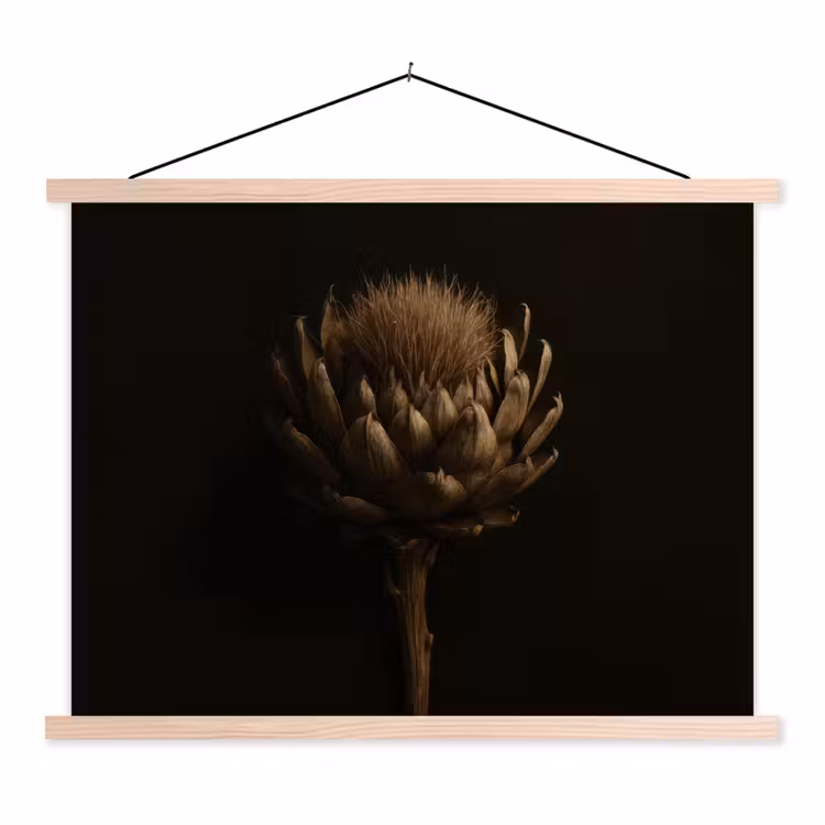Schoolplaat - Donkerbruin - Bloem - Textuur - Artisjok — 1