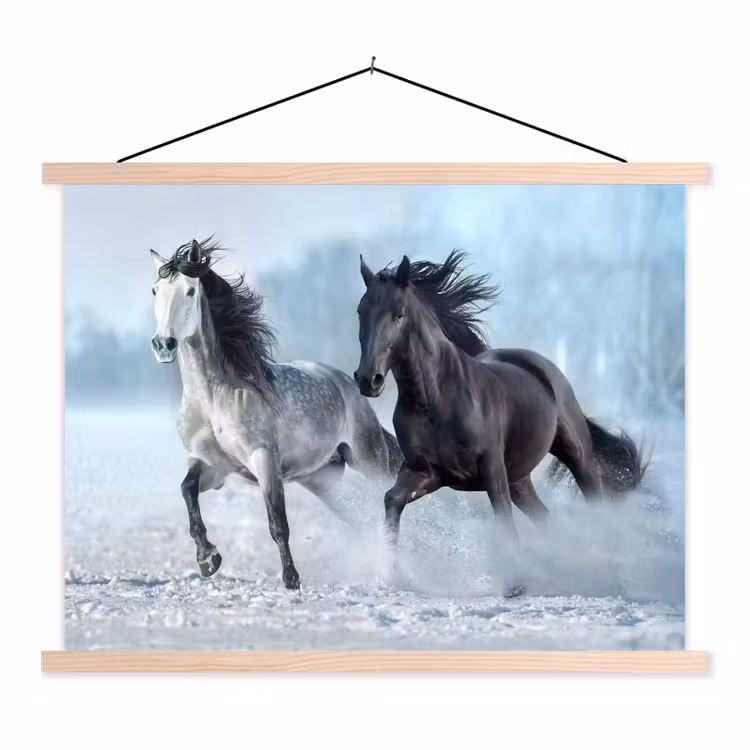 Schoolplaat - Paarden - Winter - Dieren - Natuur - Sneeuw — 1