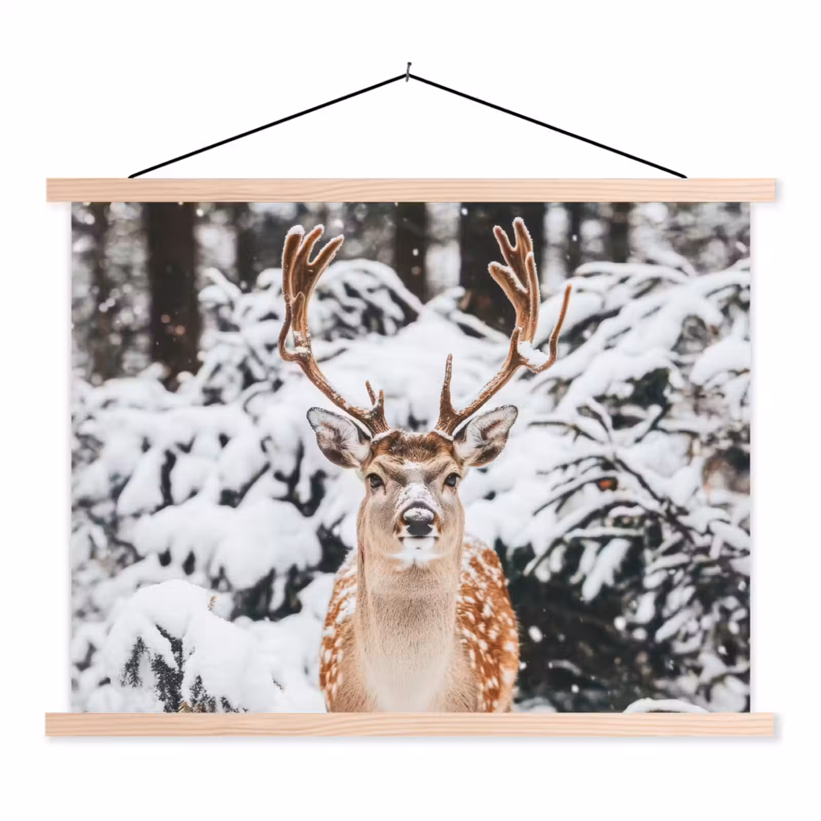 Schoolplaat - Hert - Sneeuw - Winter - Bos - Dieren — 1