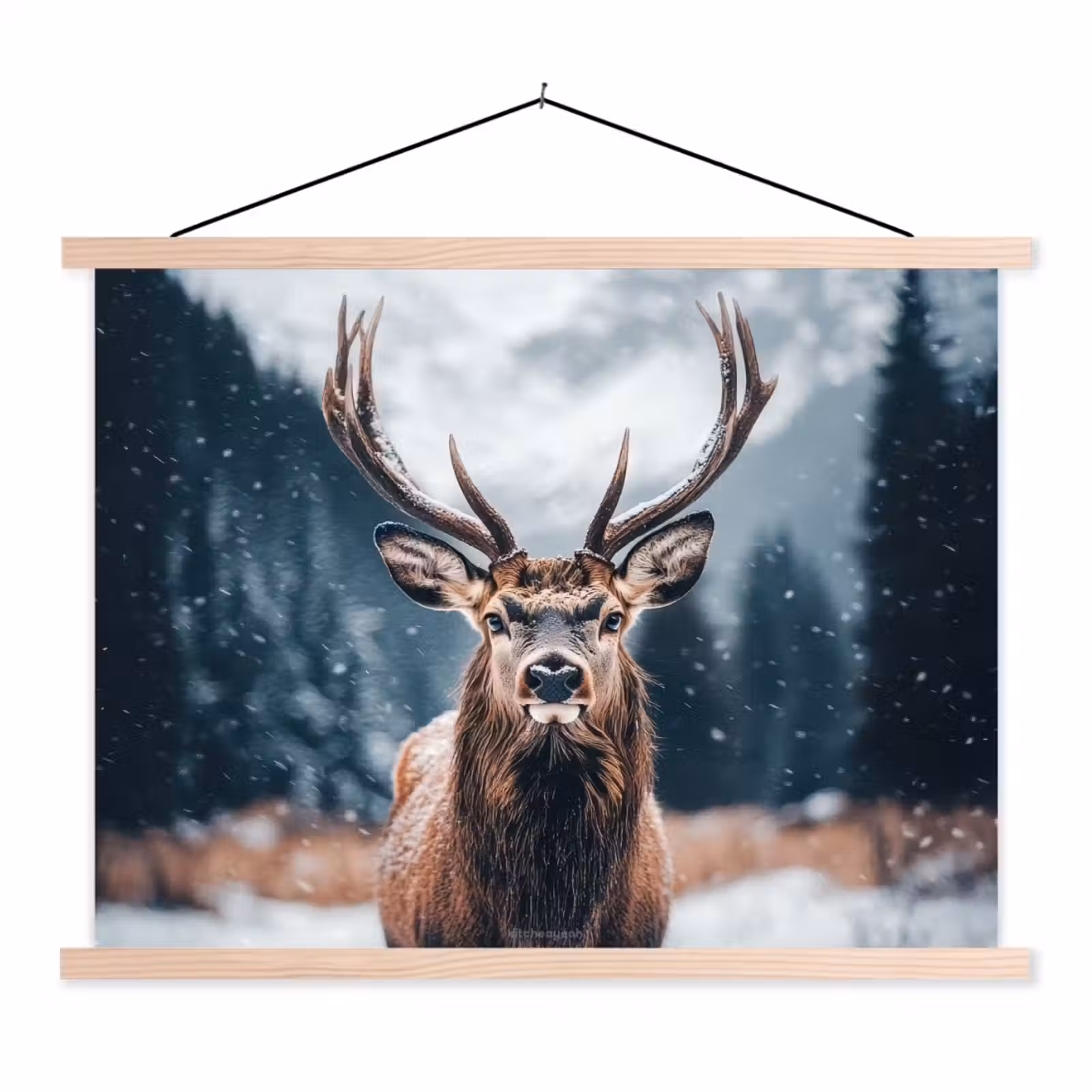 Schoolplaat - Hert - Winter - Hertenkop - Sneeuw - Gewei — 1