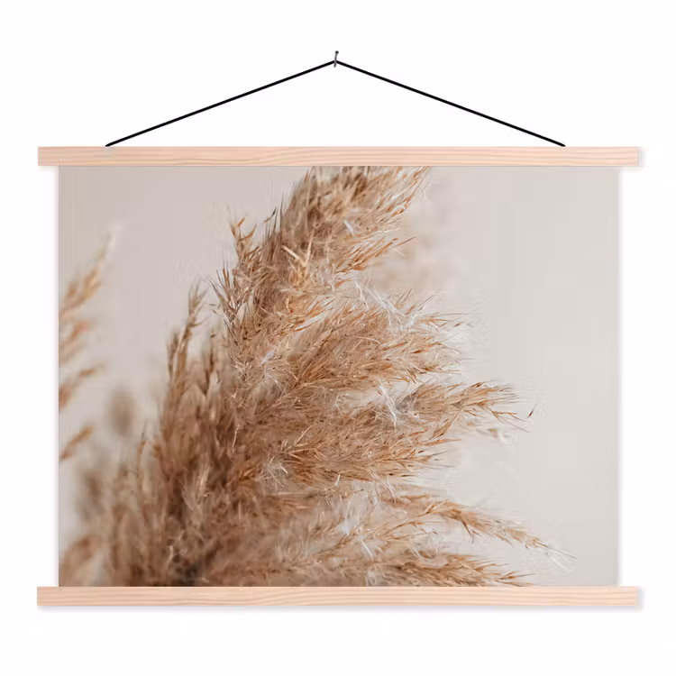 Schoolplaat - Gras - Planten - Natuur - Pampasgras — 1