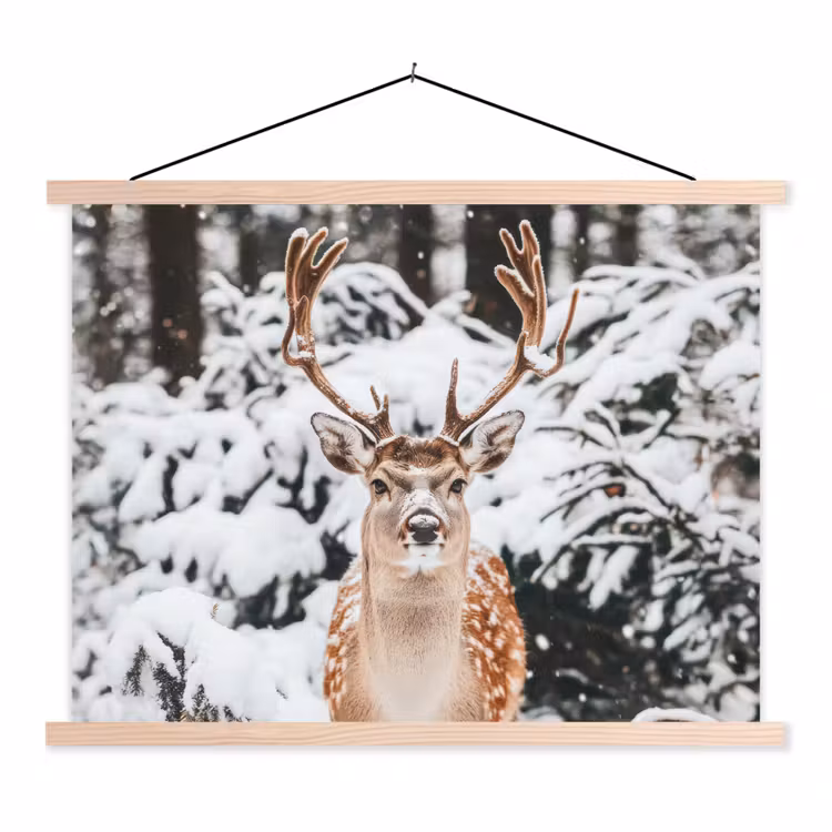 Schoolplaat - Hert - Sneeuw - Winter - Bos - Dieren — 1