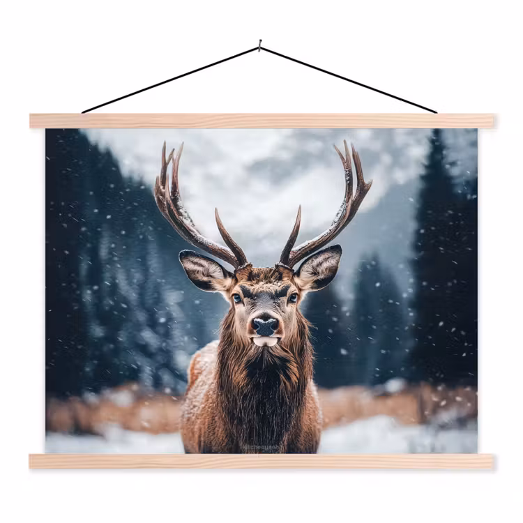 Schoolplaat - Hert - Winter - Hertenkop - Sneeuw - Gewei — 1
