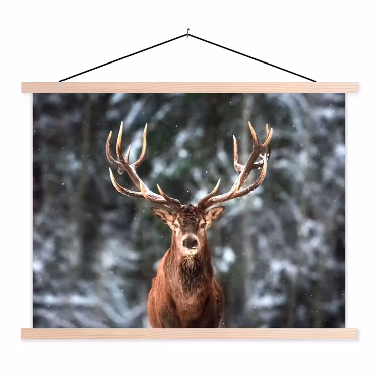 Schoolplaat - Hert - Winter - Sneeuw - Bos - Natuur - Dier — 1