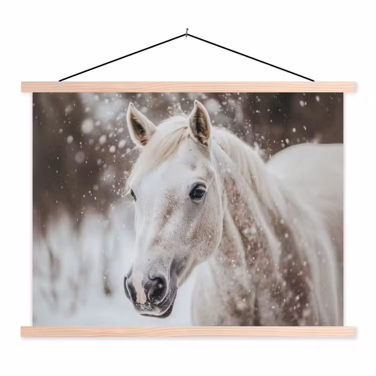 Schoolplaat - Paard - Wit - Winter - Natuur - Sneeuw - Dieren — 1