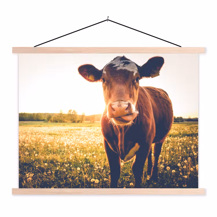 Schoolplaat - Koe - Zonsondergang - Bloemen - Gras - Dieren — 1