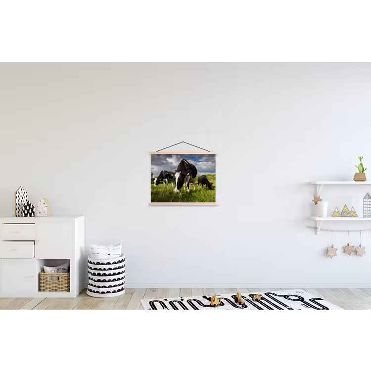 Schoolplaat - Koeien - Dieren - Gras - Weiland - Boerderij — 3