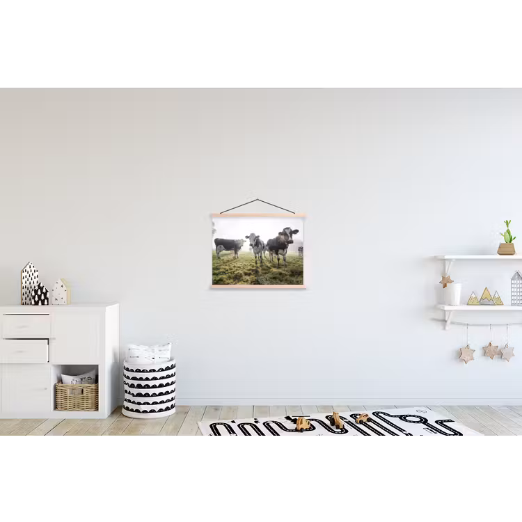 Schoolplaat - Koeien - Licht - Gras - Dieren — 3