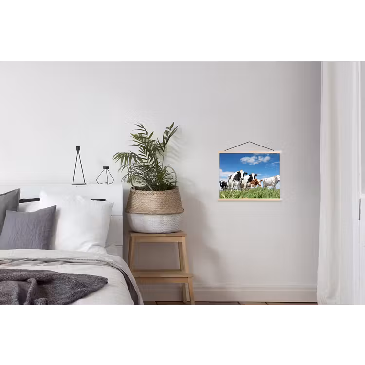 Schoolplaat - Koeien - Platteland - Weiland - Natuur - Dieren — 2