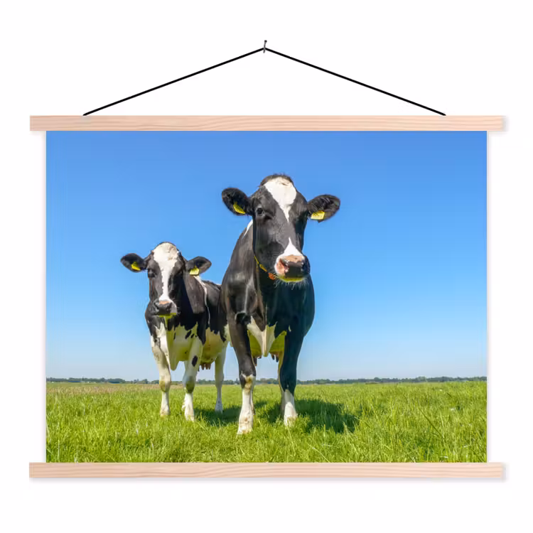 Schoolplaat - Koeien - Weiland - Gras - Dieren - Boerderij — 1