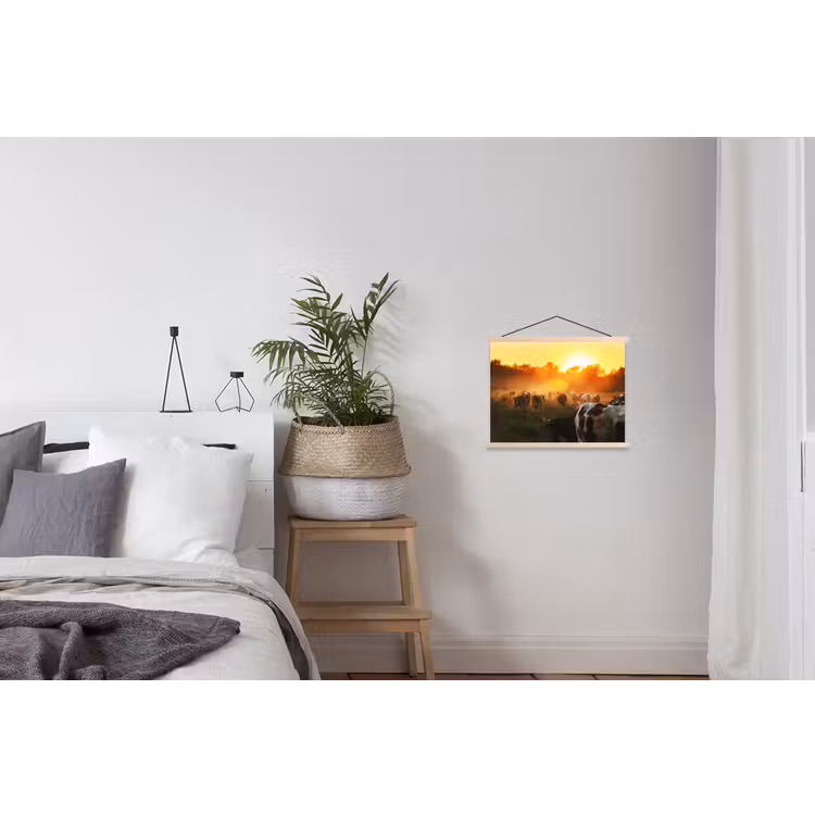 Schoolplaat - Koeien - Zonsondergang - Weiland - Dieren — 2
