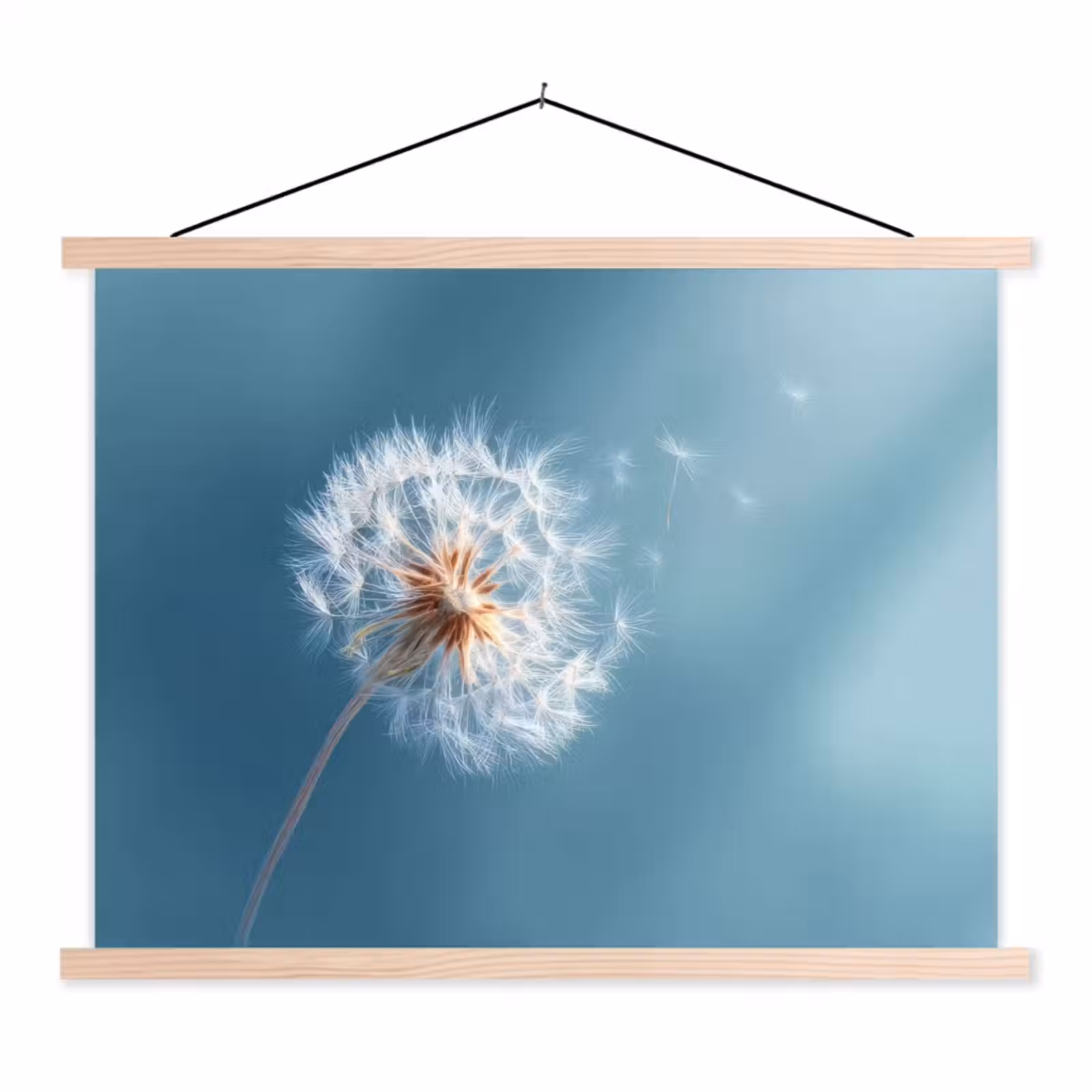 Schoolplaat - Paardenbloem - Wind - Blauw — 1