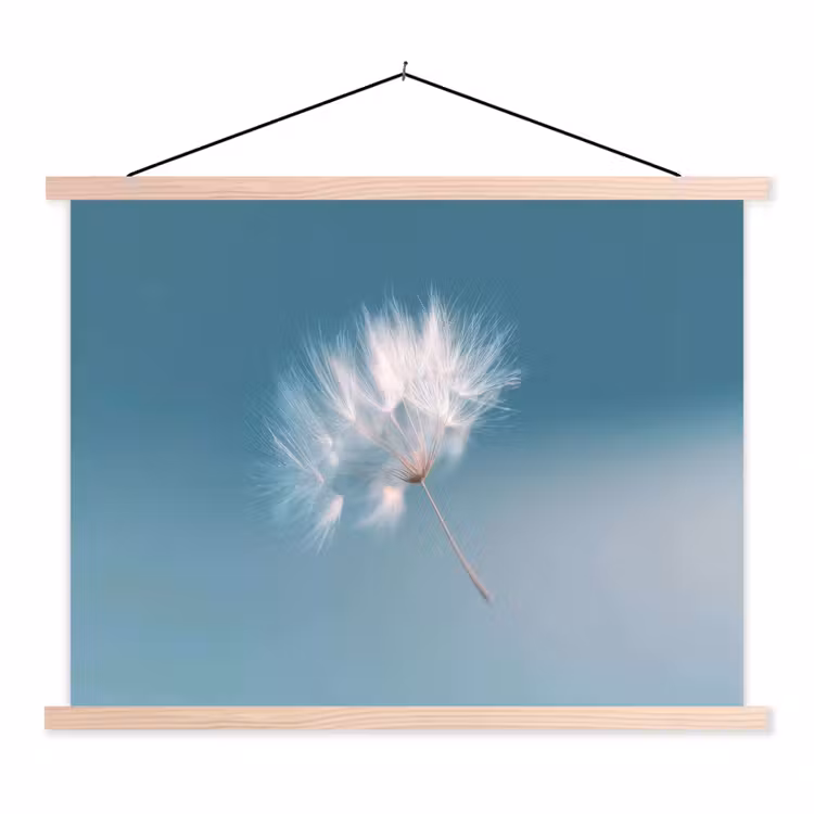 Schoolplaat - Paardenbloempluisje - Blauw - Lucht — 1
