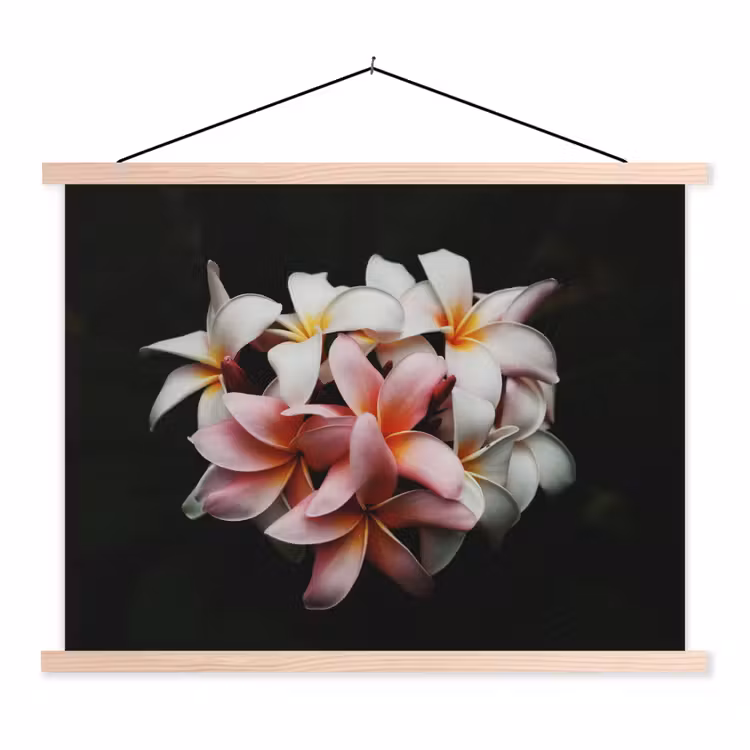 Schoolplaat - Bloemen - Roze - Zwart - Flora - Botanisch — 1