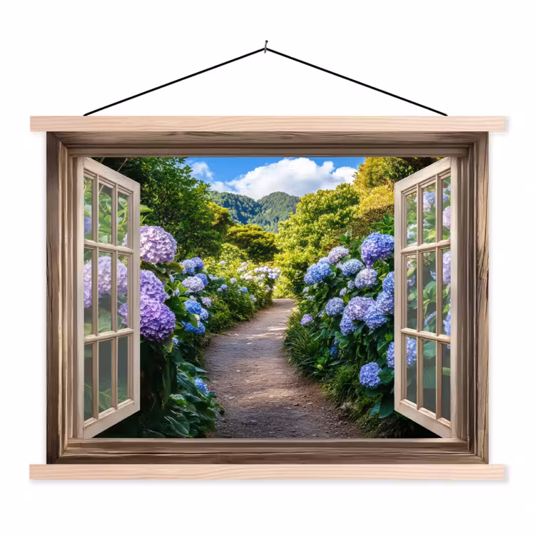 Schoolplaat - Doorkijk - Hortensia - Pad - Natuur — 1