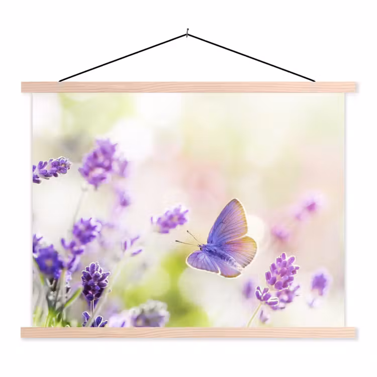 Schoolplaat - Lavendel - Vlinder - Bloemen — 1