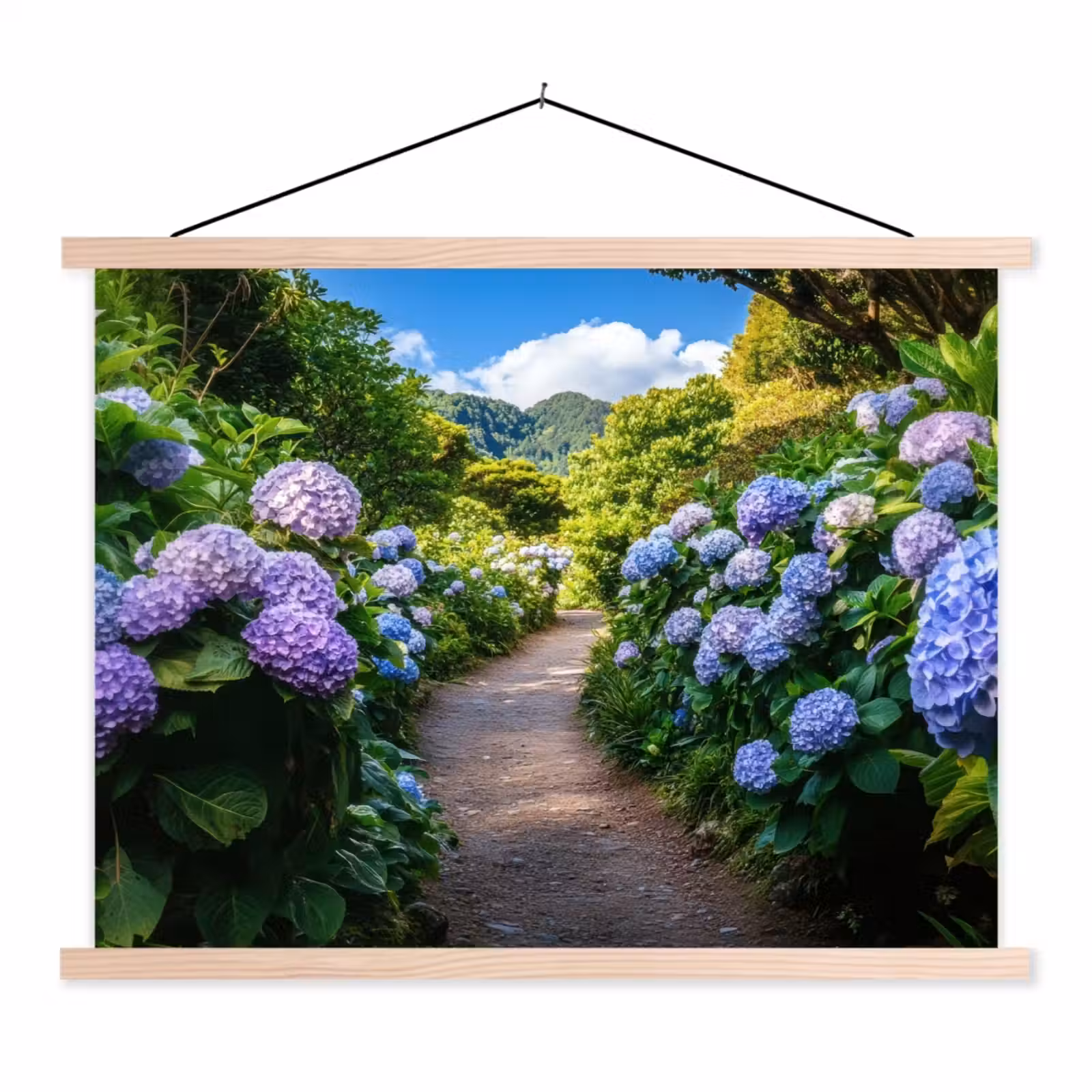 Schoolplaat - Hortsensia - Pad - Bloemen — 1