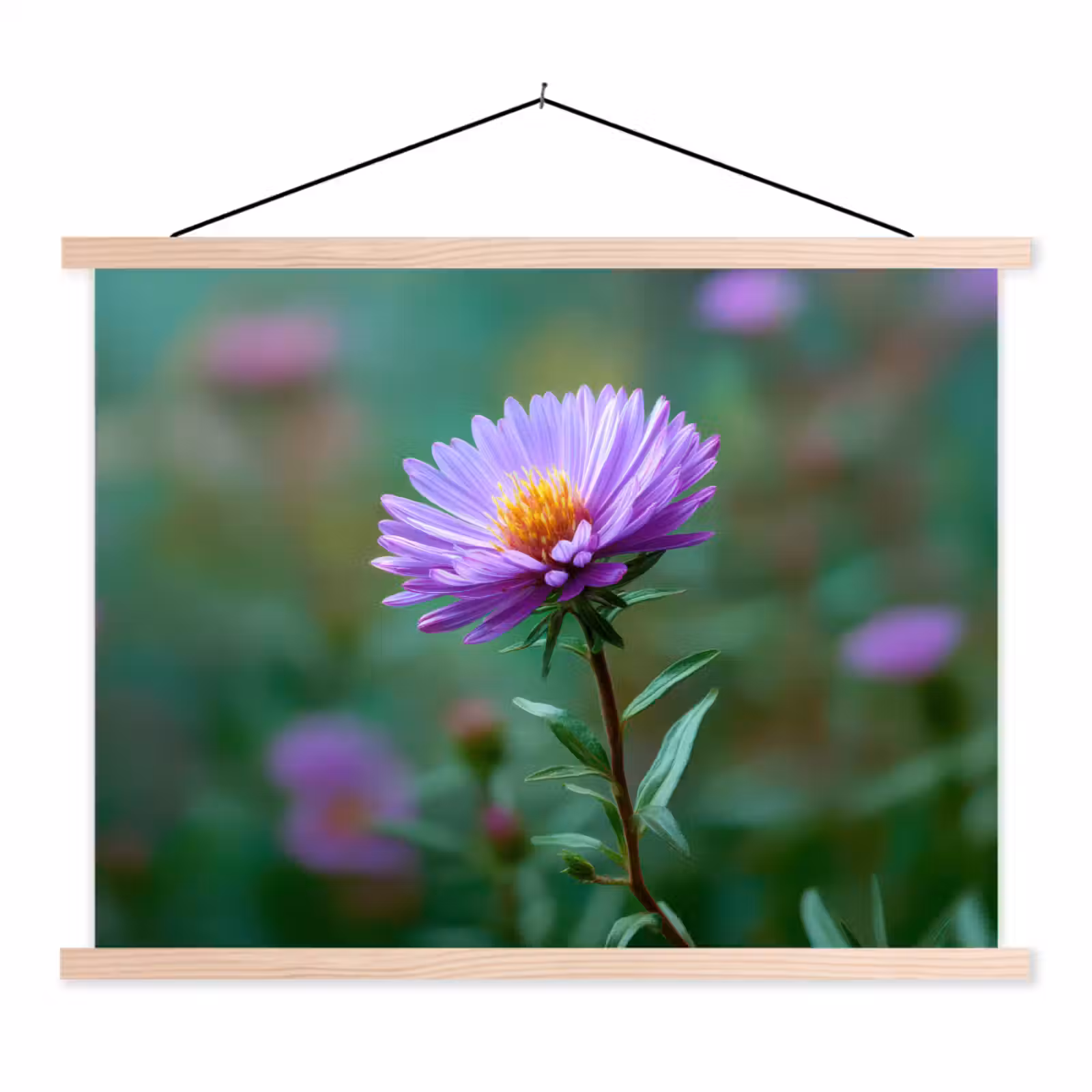 Schoolplaat - Aster - Paars - Bloem - Blaadjes — 1