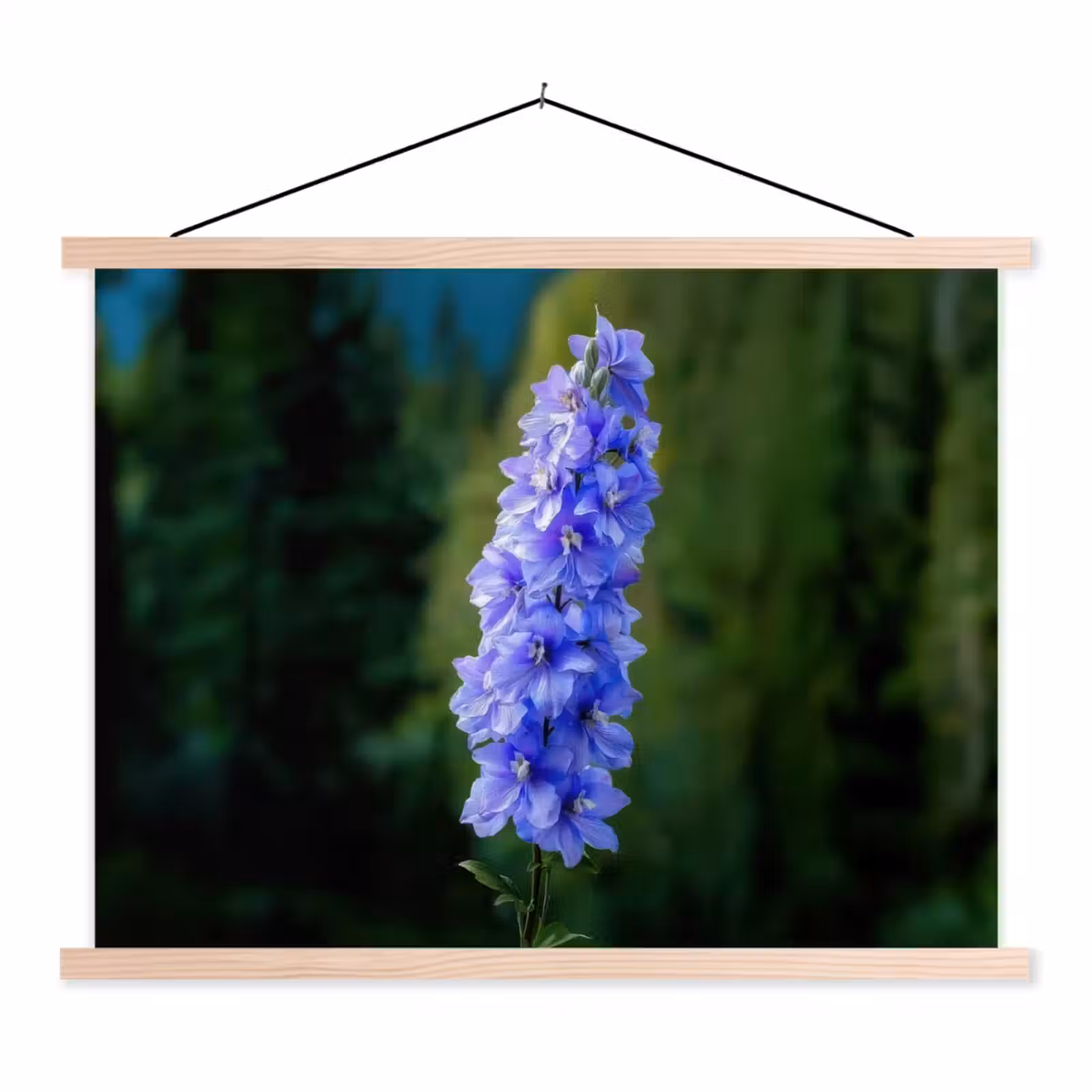 Schoolplaat - Bloemen - Blauw - Dennenboom — 1