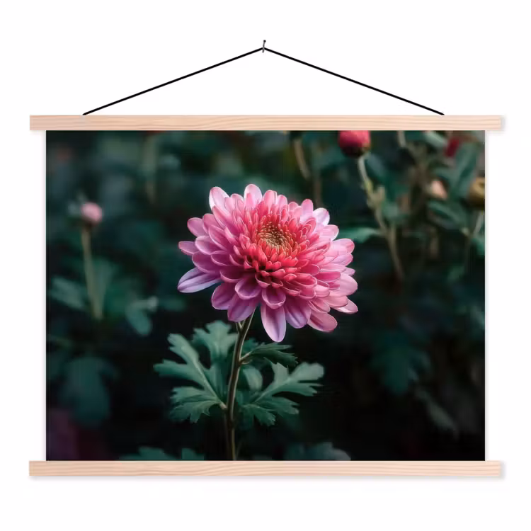 Schoolplaat - Blad - Chrysant - Roze - Schaduw — 1