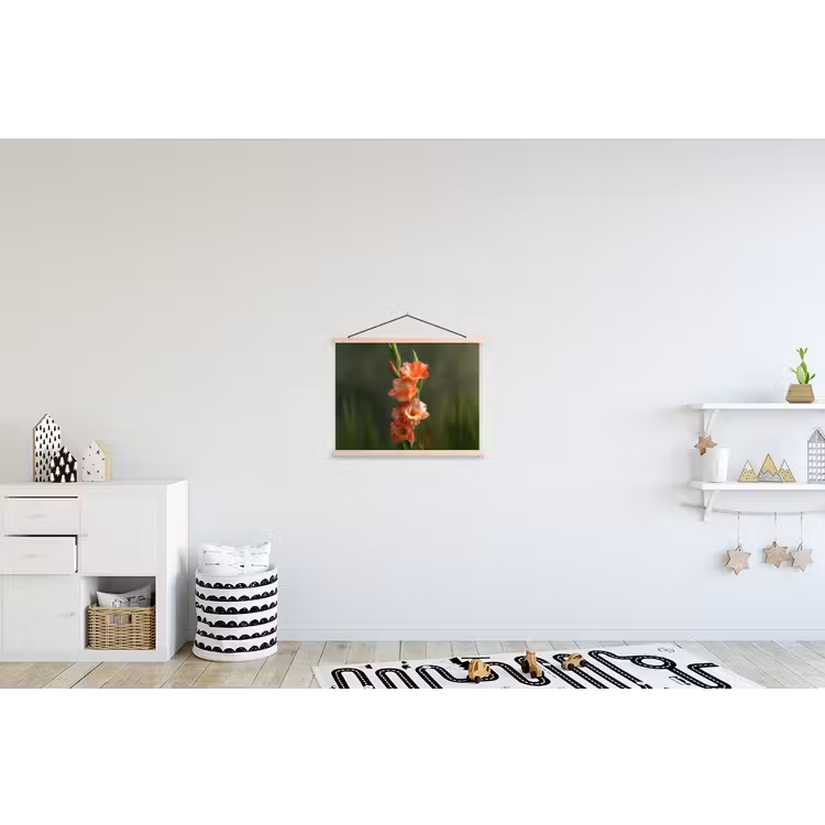 Schoolplaat - Bloem - Gladiolen - Zalmroze — 3