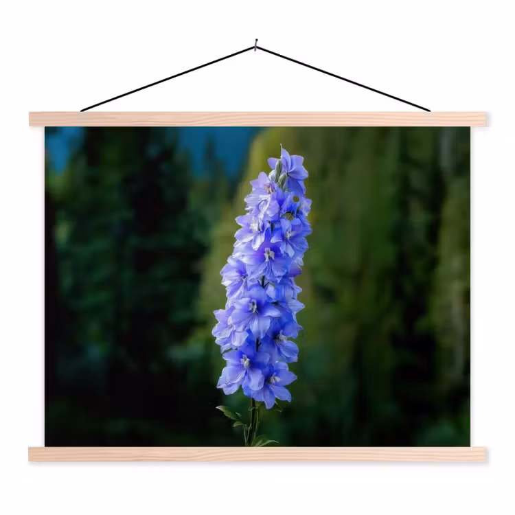 Schoolplaat - Bloemen - Blauw - Dennenboom — 1