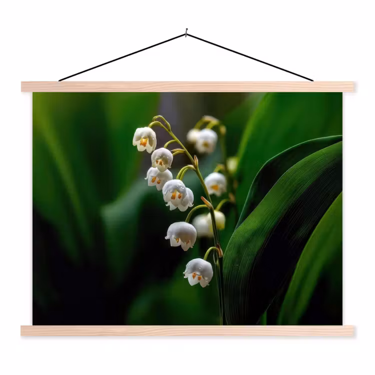 Schoolplaat - Bloemen - Wit - Bladeren - Lelietjes — 1