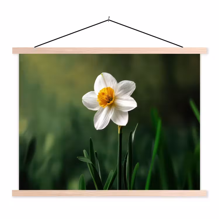 Schoolplaat - Narcis - Bloem - Wit - Grassprieten — 1
