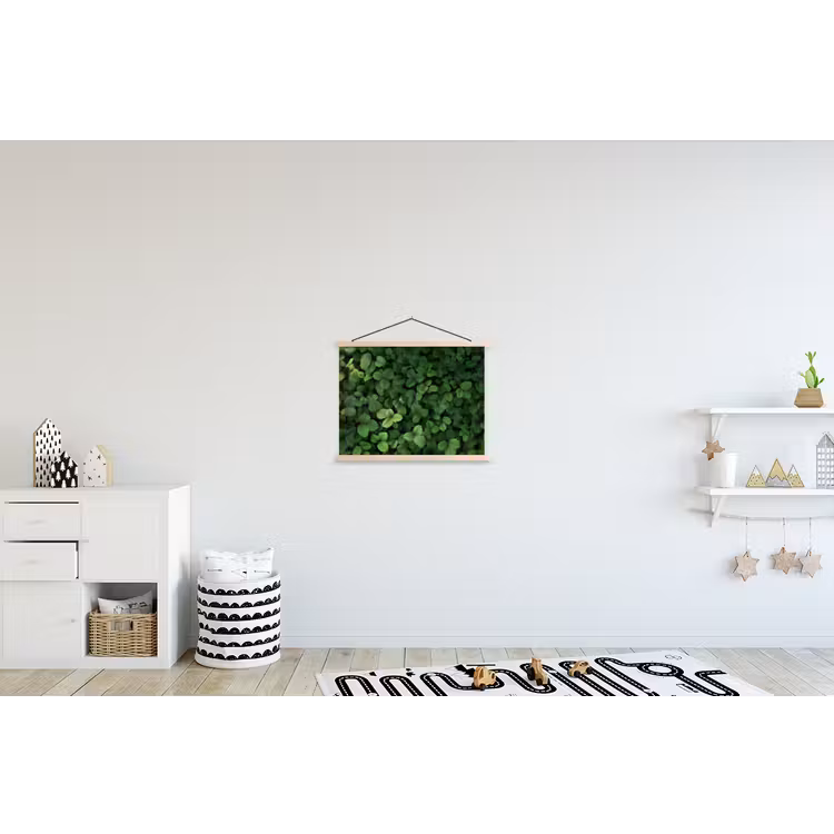 Schoolplaat - Groen - Bladeren - Kartel - Zonlicht — 3