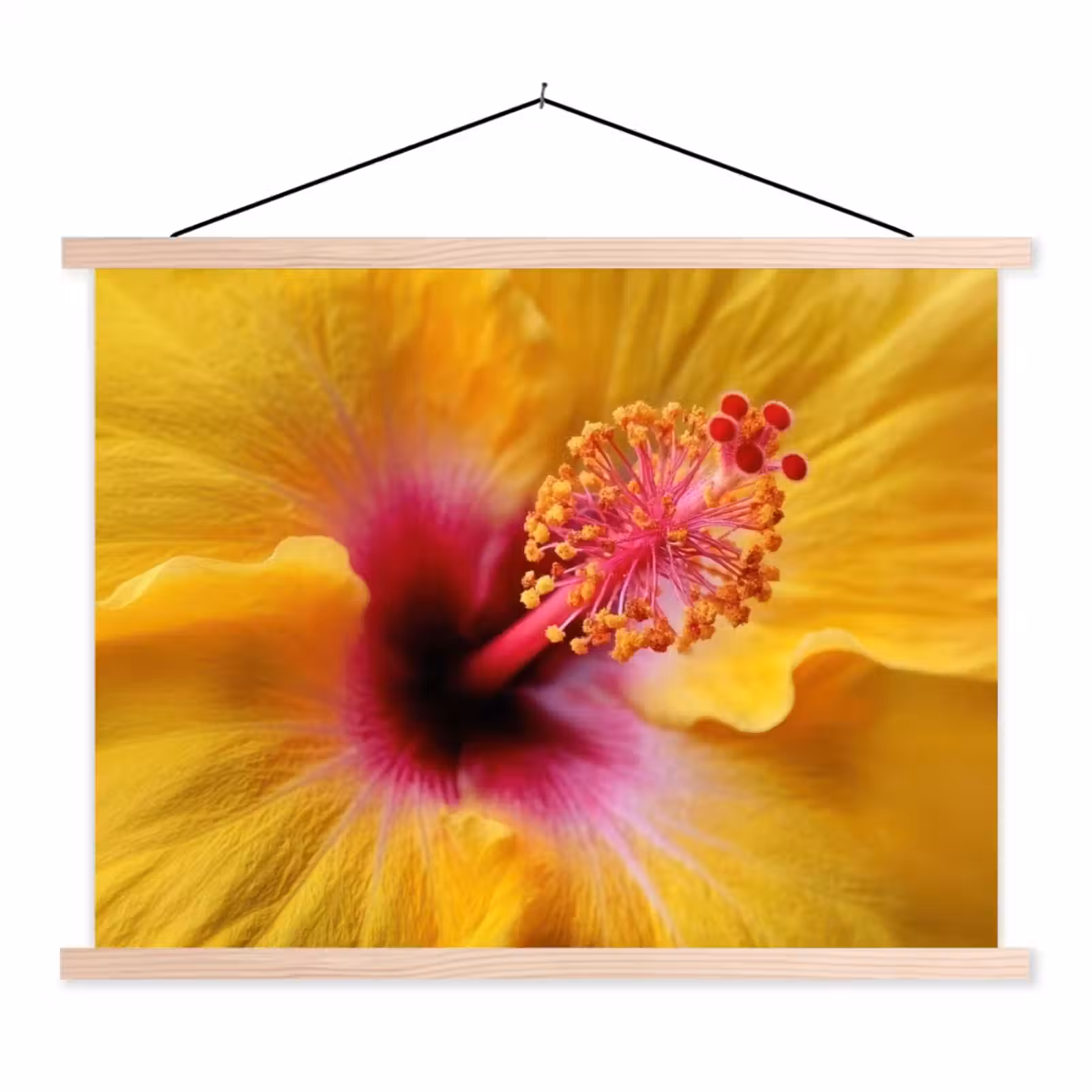 Schoolplaat - Geel - Hibiscus - Tropisch — 1