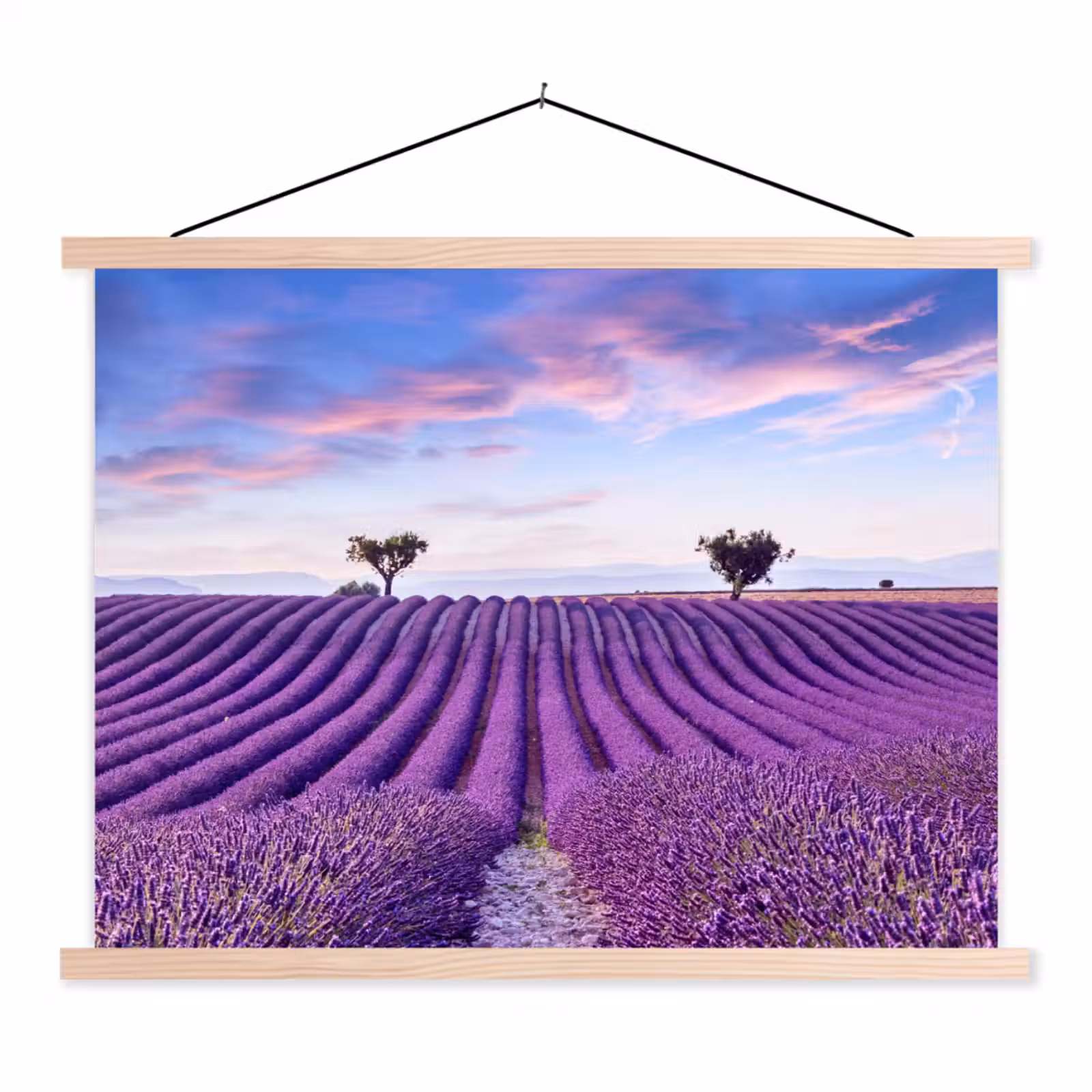 Schoolplaat - Lavendel - Natuur - Paars - Bomen - Bloemen — 1