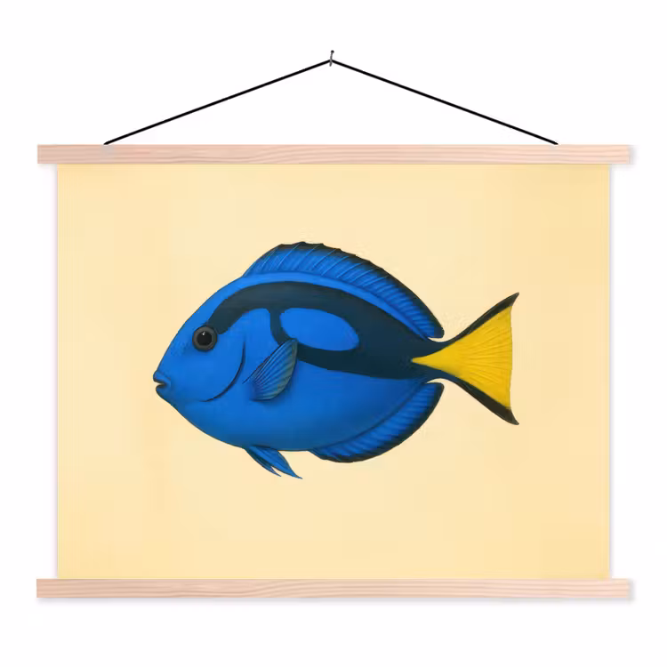 Schoolplaat - Blauw - Dory - Vis - Staartvin — 1