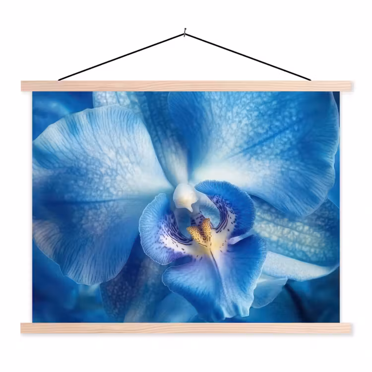 Schoolplaat - Blauw - Orchidee - Elegeant — 1