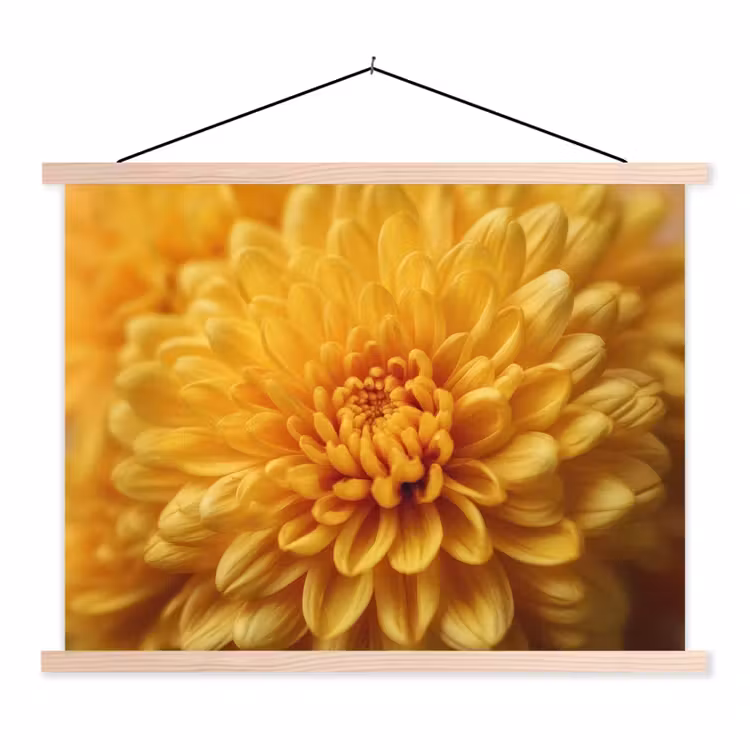 Schoolplaat - Geel - Chrysant - Zachtheid — 1