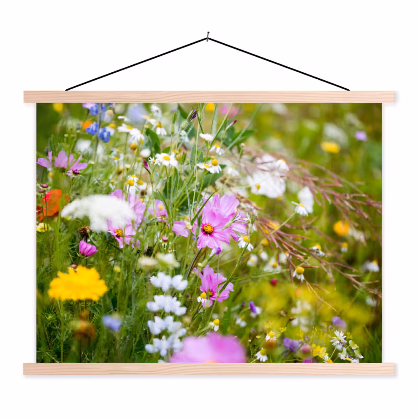 Schoolplaat - Bloemen - Natuur - Groen - Gras - Paars - Wit — 1