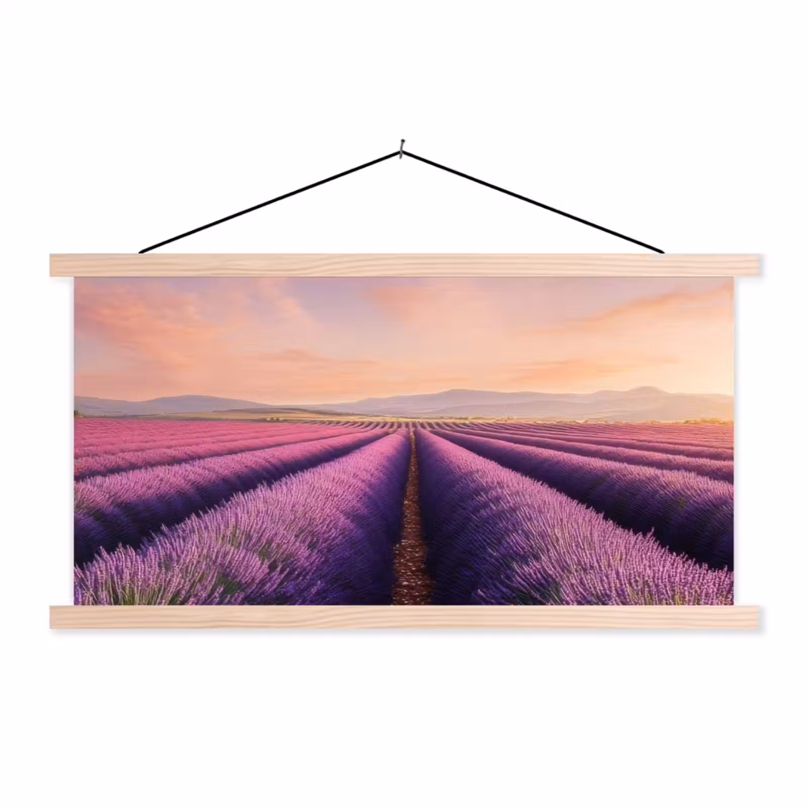 Schoolplaat - Lavendelveld - Zonsondergang - Paars - Bloemen — 1