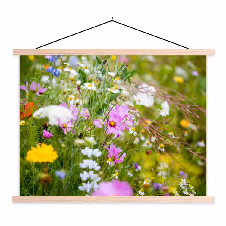 Schoolplaat - Bloemen - Natuur - Groen - Gras - Paars - Wit — 1