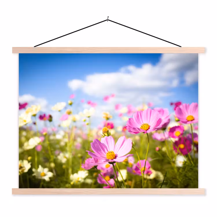 Schoolplaat - Bloemen - Wei - Paars - Gras - Wit - Wolken - Blauw — 1
