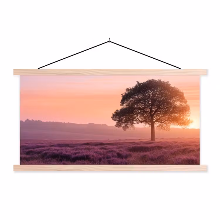 Schoolplaat - Boom - Heide - Zonsopgang — 1