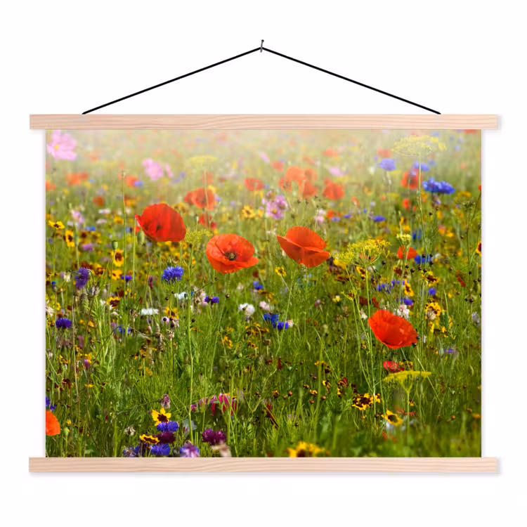 Schoolplaat - Lente - Bloemen - Rood - Klaproos - Gras - Groen — 1