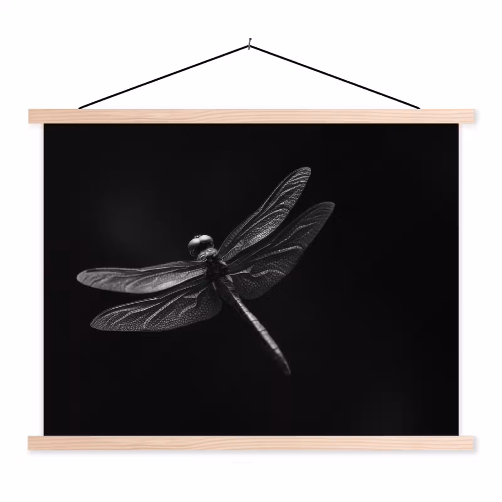 Schoolplaat - Libelle - Dieren - Zwart - Insect — 1