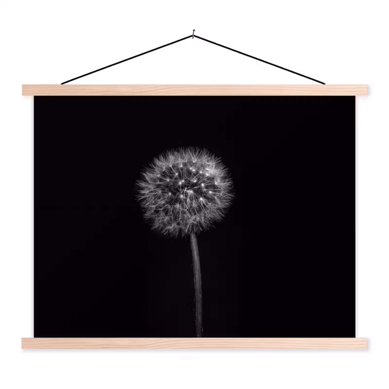 Schoolplaat - Paardenbloem - Zwart - Bloemen - Botanisch — 1