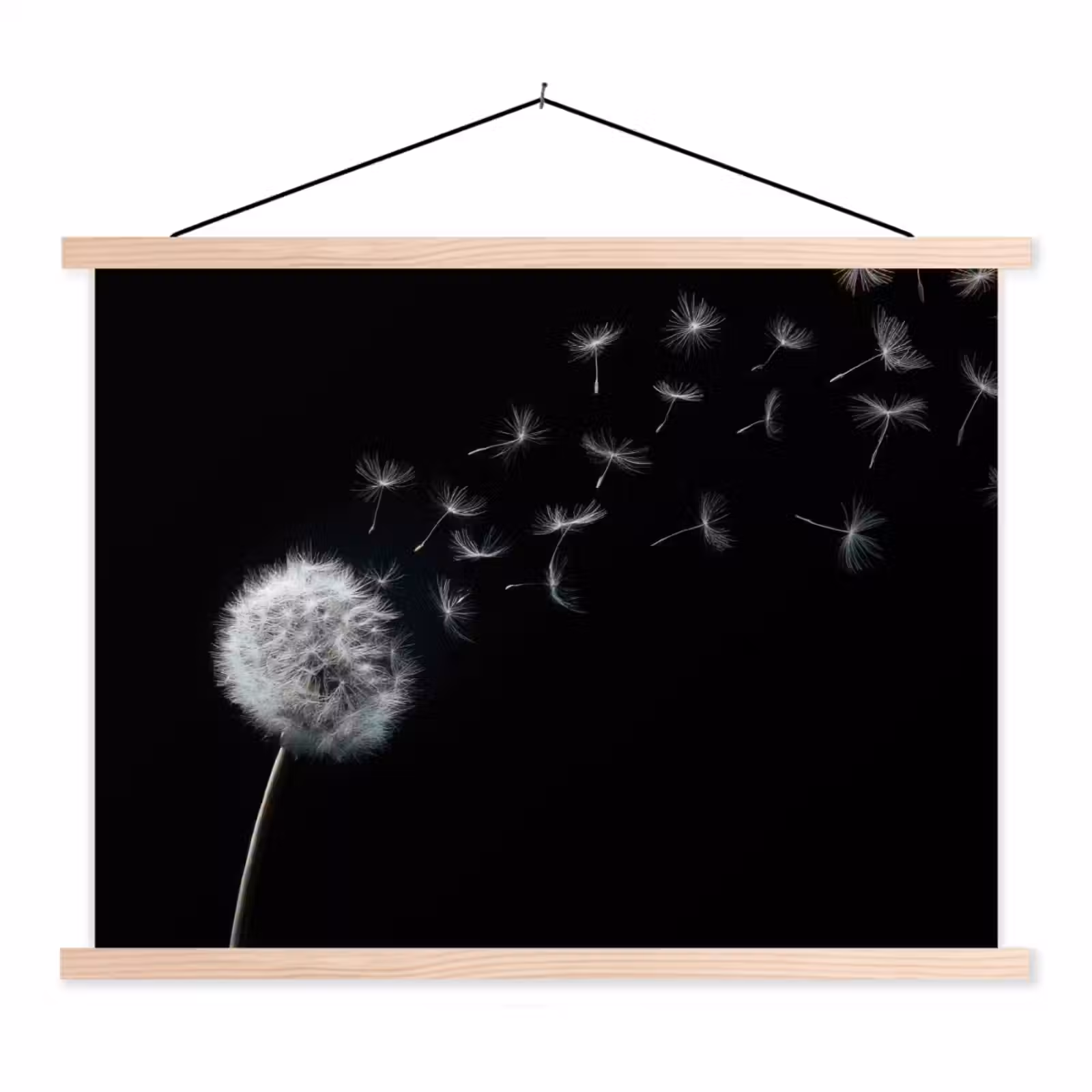 Schoolplaat - Paardenbloem - Zwart - Natuur — 1